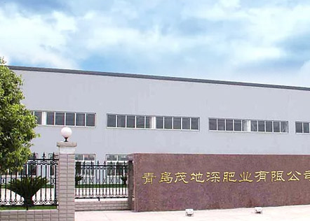 企業(yè)優(yōu)勢(shì)